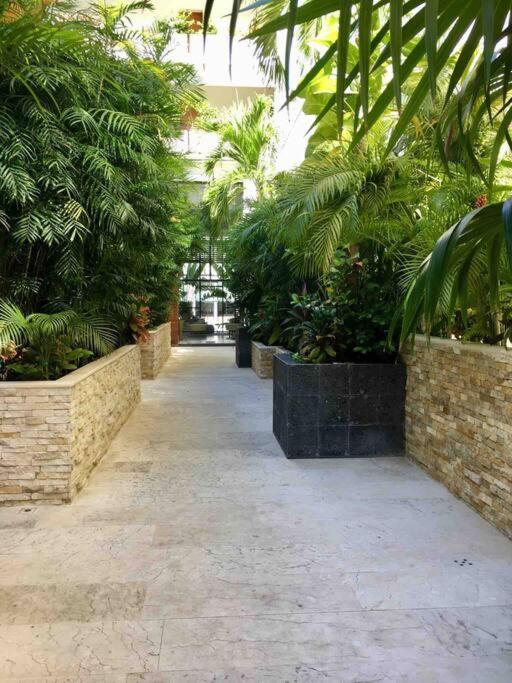 Your Exclusive Studio In The City - Top Amenities & Services For Free!! Πλάγια Ντελ Κάρμεν Εξωτερικό φωτογραφία